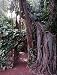 Cypress Woods Photograph - Beautiful 16"x20" Photographic Print by Carol M. Highsmith
