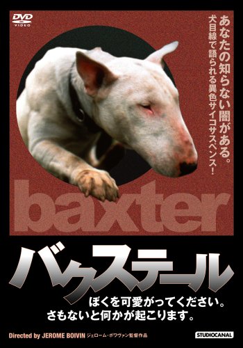 バクステール／ぼくを可愛がってください。さもないと何かが起こります。