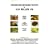Hedgehog Rehabilitation: A Guide to the Rescue, Rearing, Nursing, Care, Diagnosis, Treatment, Welfare and Release of the Hedgehog Erinaceus Europaeus