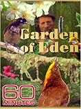 60 Minutes - Garden of Eden (December 16, 2007)