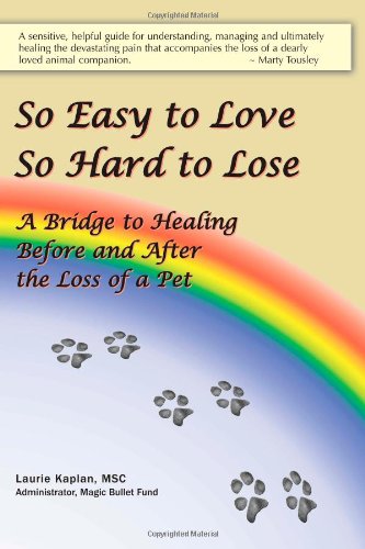 So Easy to Love, So Hard to Lose: A Bridge to 
