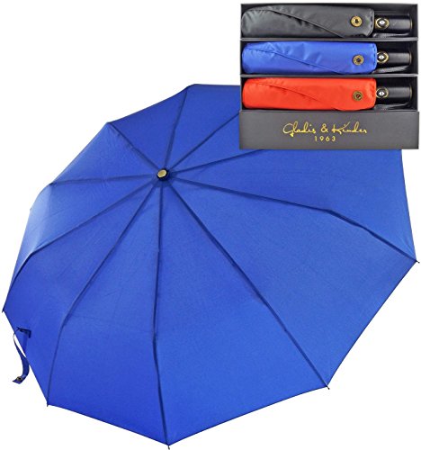 Premium Compact Travel Umbrella with Auto Open Close. Industry Leading 10 Rib