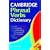 Cambridge Phrasal Verbs Dictionary