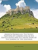 America Entangled: The Secret Plotting of German Spies in the United States and the Inside Story of the Sinking of the Lusitania