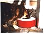 Deluxe Pet Sipper (10012)