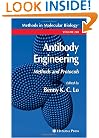 Antibody Engineering: Methods and Protocols (Methods in Molecular Biology)