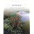 Ecology w/bind in OLC card