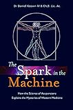 The Spark in the Machine: How the Science of Acupuncture Explains the Mysteries of Western Medicine