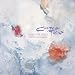 Head Over Heels/Sunburst and Snowblind