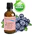 Botanical Beauty BLUEBERRY SEED OIL 100% Pure Natural Virgin Unrefined Cold Pressed 0.5 Fl. Oz.- 15 ml for FACE, SKIN, BODY, HAIR, NAILS, Anti-Aging