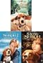Shiloh / Shiloh 2 / Saving Shiloh (3 Pack)