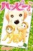 波間 信子: ハッピー! 30 (30) (Be・Loveコミックス)