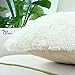CaliTime Super Soft Throw Pillow Cover Case for Couch Sofa Bed Solid Plush Faux Fur 18 X 18 Inches Ivory
