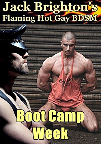 Boot Camp Week: Flaming Hot Gay BDSM (Tales from The Wild Side Book 10)