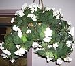 White Impatiens Hanging Basket