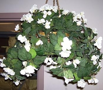 White Impatiens Hanging Basket