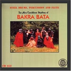 Steel Drums, Percussion & Flute