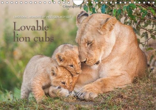 Emotional Moments: Lovable Lion Cubs UK-Version 2017: The Children from 