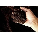 ���i�̏ڍ�