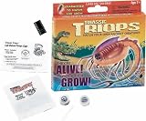 Toys : Triassic Triops Starter Pack