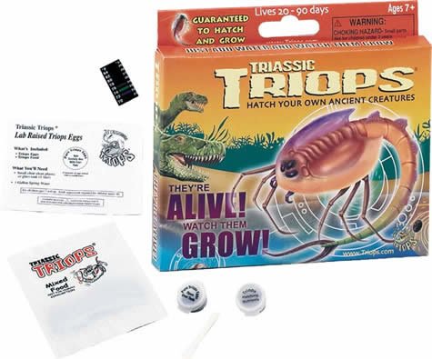 Childrens Toyshop  Toys : Triassic Triops Starter Pack