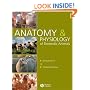 Anatomy and Physiology of Domestic Animals