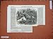 1853 Bubale Antelope Zoological Society Gardens London