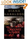 Dragonfly in Amber