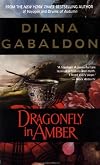 Dragonfly in Amber