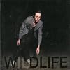 Wildlife