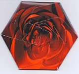 Beautiful Garbage (Limited Edition Hk)