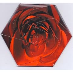 Beautifulgarbage+Bag