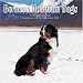 Bernese Mountain Dogs 2009 Wall Calendar