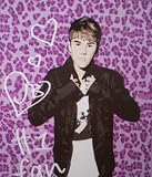 51jr3RASMqL. SL160  Justin Bieber Pink Leopard Super Soft Royal Plush Twin Size Blanket 60x80