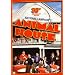 National Lampoon's Animal House (30th Anniversary Edition) (2 Discs)