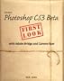 Adobe Photoshop Cs3 Beta First Look with Adobe Bridge and Camera Raw