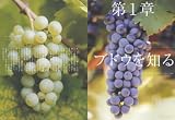 Winart (ワイナート) 2007年 05月号 [雑誌] 画像