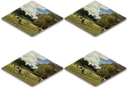 Kangaroo Set Walk Grass Trees Square Coaster (4 Piece) Set Fabric Rubber 5 Inch Size Liil Coaster Cup Mug Can Water Bottle Drink Coasters Stain Resistance Collector Kit Kitchen Table Top Desk