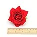 DreamLily Rose Flower Hair Clip Flamenco Dancer Pin up Flower Brooch BC10 (Red)