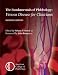 The Fundamentals of Phlebology: Venous Disease for Clinicians