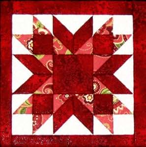 Amazon.com: Artsi2 A2SMQUILT1 Quilt Wall Hanging Kit