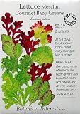 Lettuce Baby Mesclun Gourmet Certified Organic Heirloom Seeds 1200 Seeds