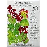 LettuceBabyMesclunGourmetCertifiedOrganicHeirloomSeeds1200Seeds