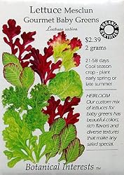 Lettuce Baby Mesclun Gourmet Certified Organic Heirloom Seeds 1200 Seeds