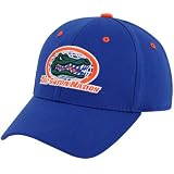 Top of the World Florida Gators Royal Blue Gator Nation One-Fit Hat