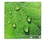 Green Leaf Skin for Sony Playstation 3 Slim Console