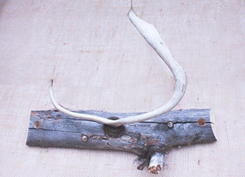 Antler Towel Rack