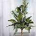Factory Direct Craft Green Sparkling Velvet Artificial Poinsettia and Fruit Pick for Holiday and Home Decor