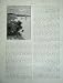 1886 AUSTRALIA HOPKINS RIVER GOULBURN TREES VICTORIA