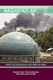 Books : Baghdad Ablaze: How to Extinguish the Fires in Iraq